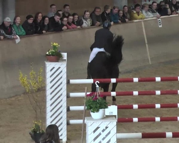 Hallenspringturnier Friedrichshafen-Ailingen 2016