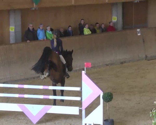 Hallenspringturnier Friedrichshafen-Ailingen 2016
