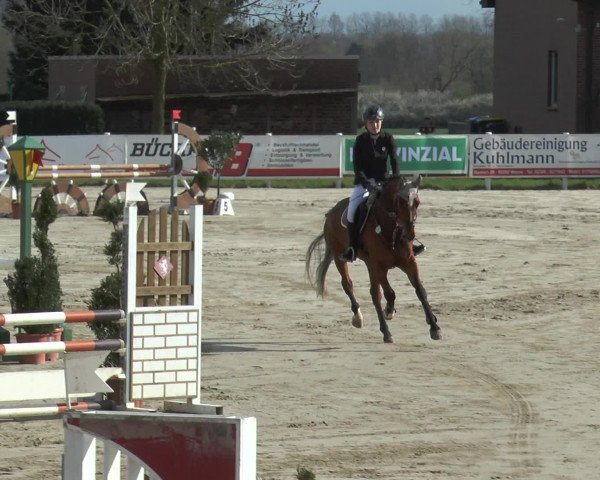 Reitturnier Werne-Lenklar 2016