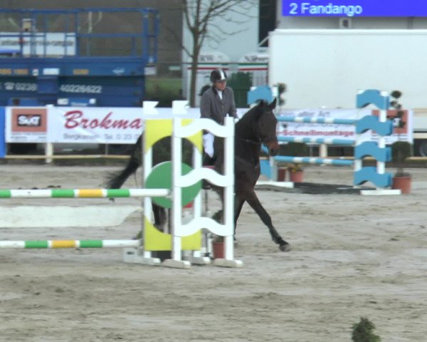 Lenklarer Reitertage 2016