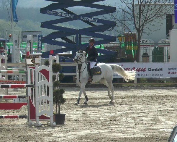 Lenklarer Reitertage 2016