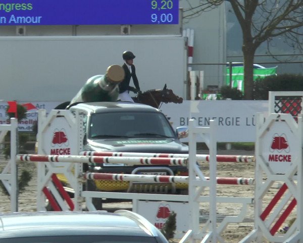 Reitturnier Werne-Lenklar 2016