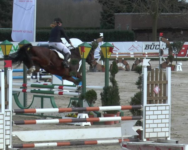 Reitturnier Werne-Lenklar 2016