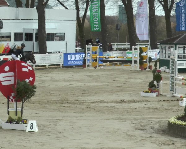Lenklarer Reitertage 2016