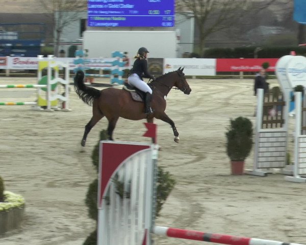 Lenklarer Reitertage 2016