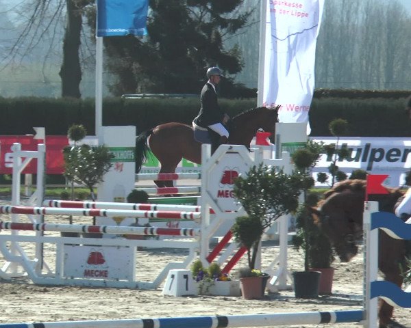 Reitturnier Werne-Lenklar 2016