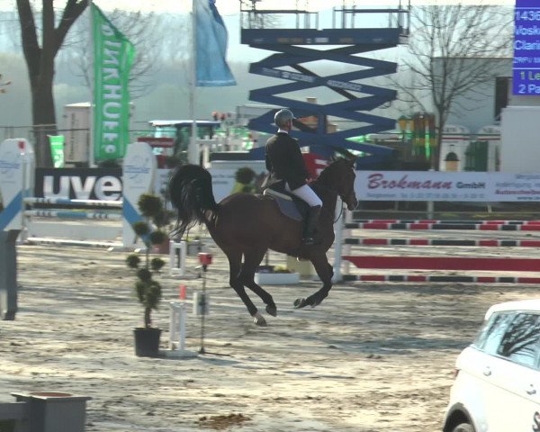 Reitturnier Werne-Lenklar 2016