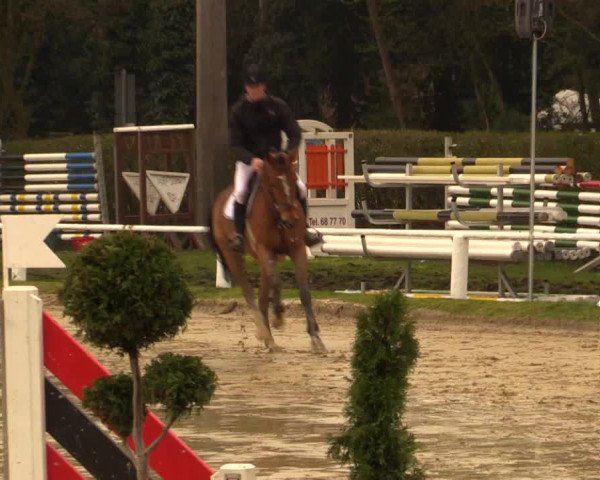 Reitturnier Bottrop 2016