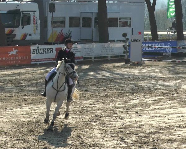 Reitturnier Werne-Lenklar 2016