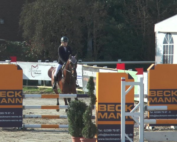 Lenklarer Reitertage 2016
