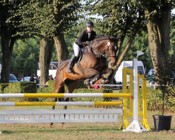 jumper Calimero can win (Holsteiner, 2005, from Carano)