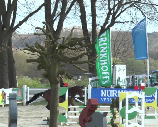 Lenklarer Reitertage 2016