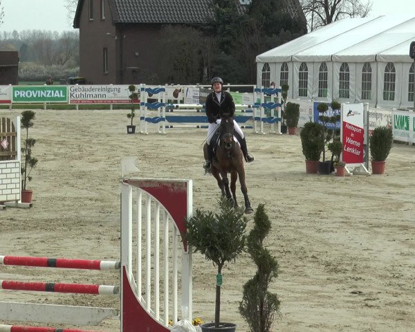 Reitturnier Werne-Lenklar 2016