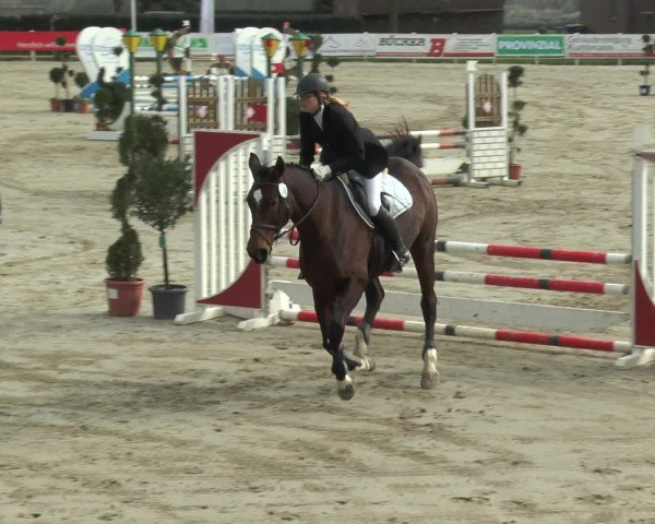 Lenklarer Reitertage 2016