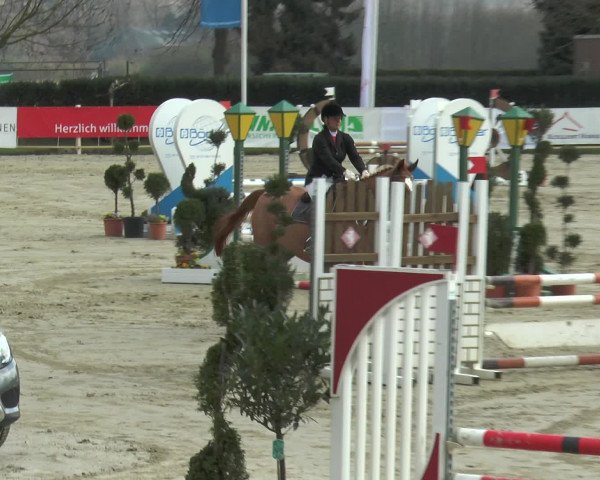 Lenklarer Reitertage 2016