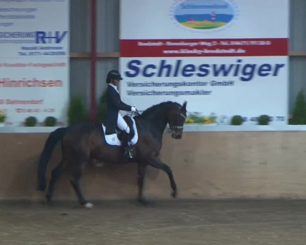 13. Behrendorfer Dressurfestival 2016