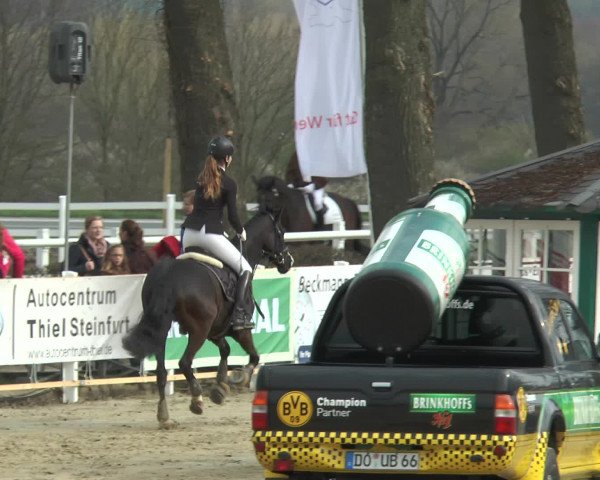 Lenklarer Reitertage 2016