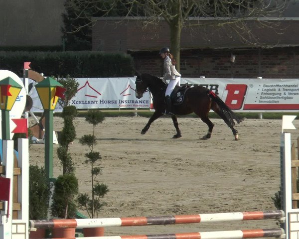 Lenklarer Reitertage 2016