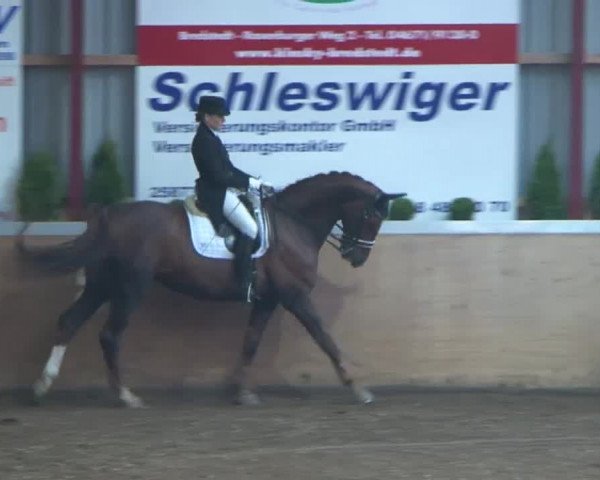 13. Behrendorfer Dressurfestival 2016