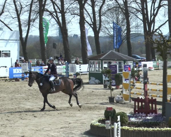 Lenklarer Reitertage 2016