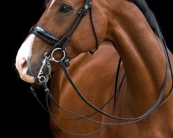 dressage horse Liberic (Westphalian, 2003, from Lissabon 29)