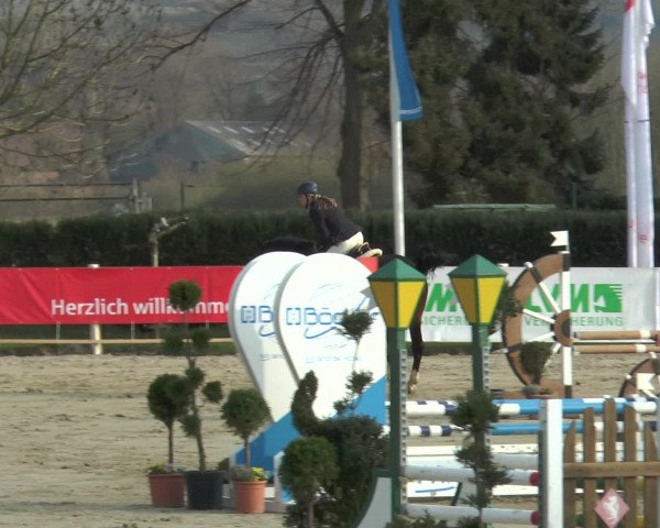 Lenklarer Reitertage 2016