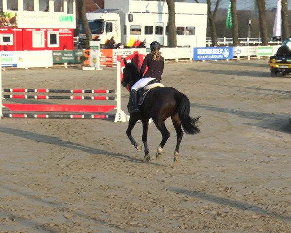 Reitturnier Werne-Lenklar 2016