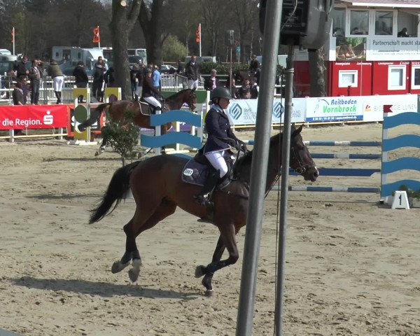 Lenklarer Reitertage 2016