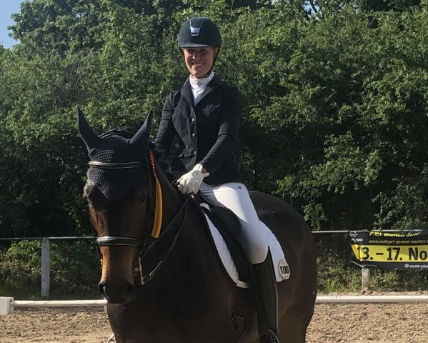 dressage horse Coco Chanel 227 (Hanoverian, 2009, from Conteur)