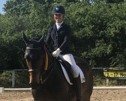 dressage horse Coco Chanel 227 (Hanoverian, 2009, from Conteur)