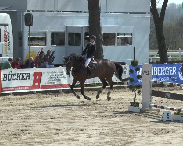 Reitturnier Werne-Lenklar 2016