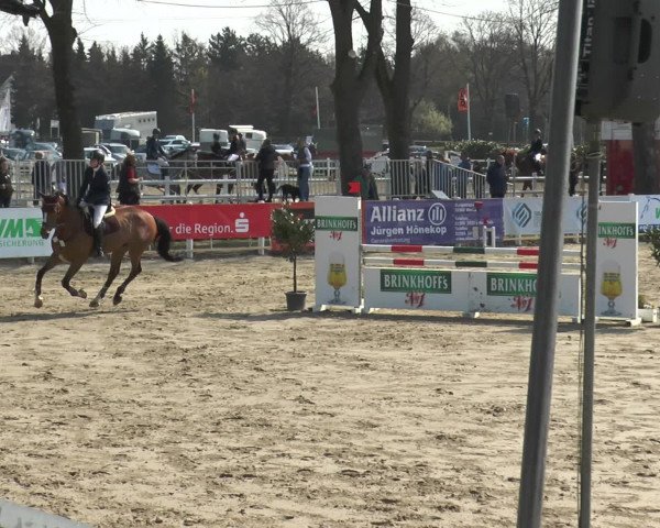 Lenklarer Reitertage 2016