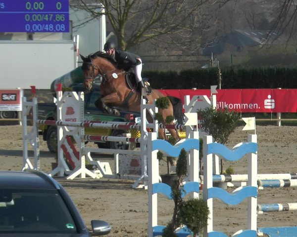 Lenklarer Reitertage 2016