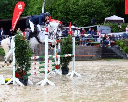 jumper Qui Son (Hanoverian, 2004, from Quidam's Rubin)