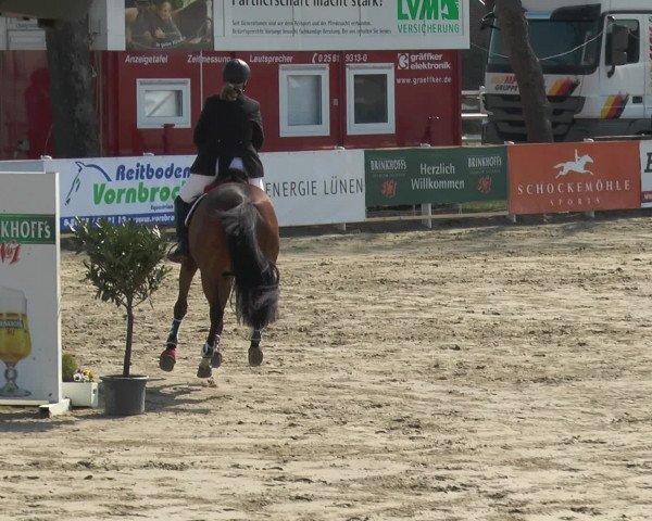 Lenklarer Reitertage 2016