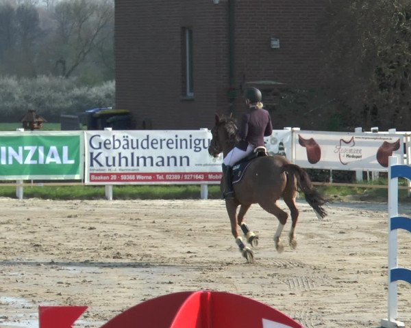 Reitturnier Werne-Lenklar 2016