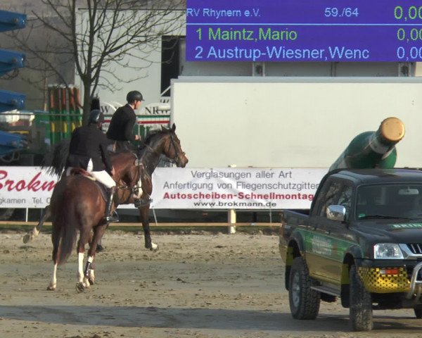 Reitturnier Werne-Lenklar 2016