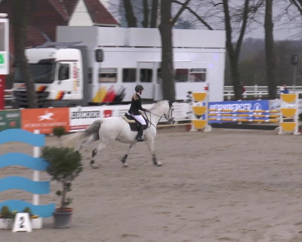 Reitturnier Werne-Lenklar 2016