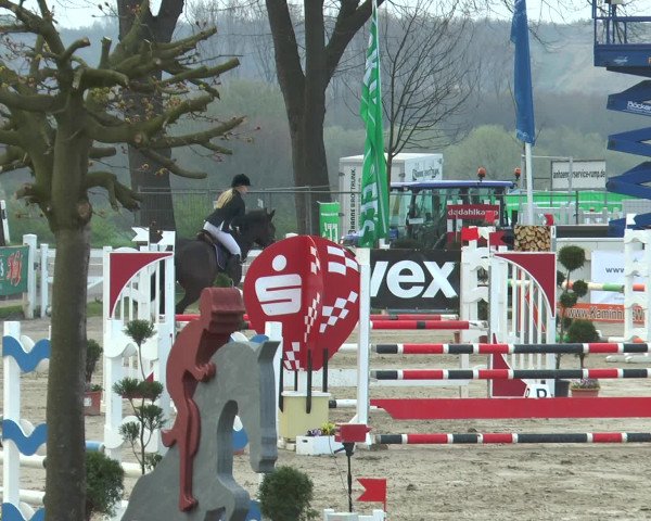 Lenklarer Reitertage 2016
