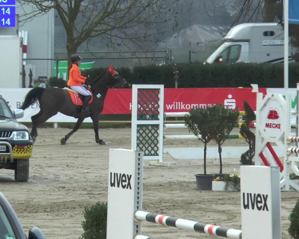 Lenklarer Reitertage 2016