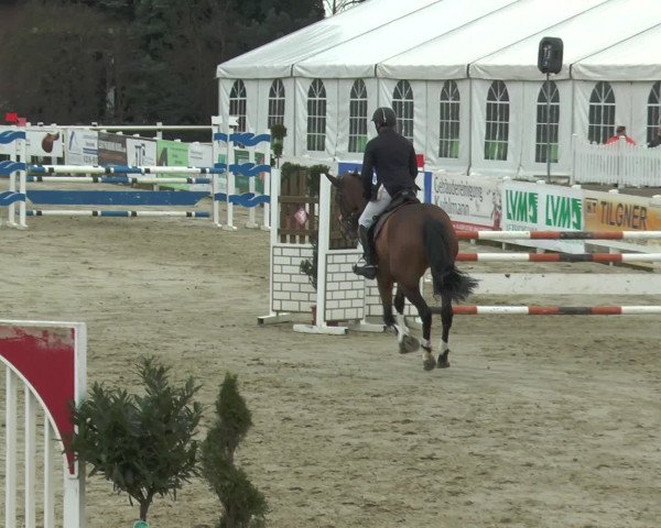 Reitturnier Werne-Lenklar 2016