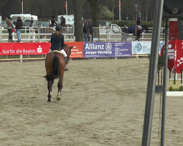 Lenklarer Reitertage 2016