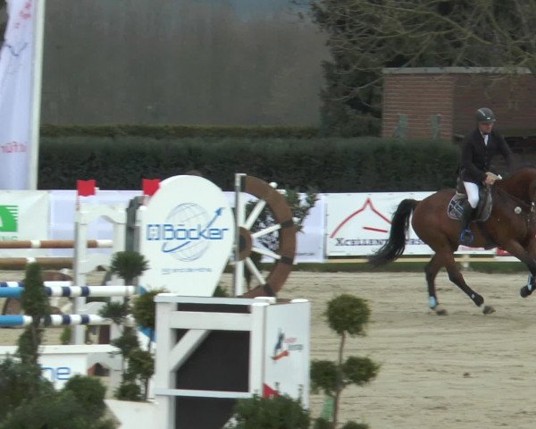 Lenklarer Reitertage 2016