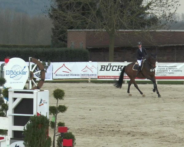 Reitturnier Werne-Lenklar 2016