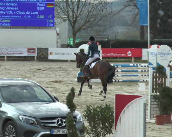 Lenklarer Reitertage 2016