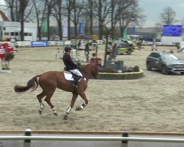 Lenklarer Reitertage 2016