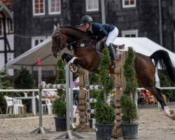 jumper Atc's Diabolo (Hanoverian, 2014, from Diarado)