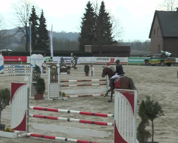 Lenklarer Reitertage 2016
