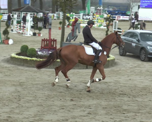 Lenklarer Reitertage 2016