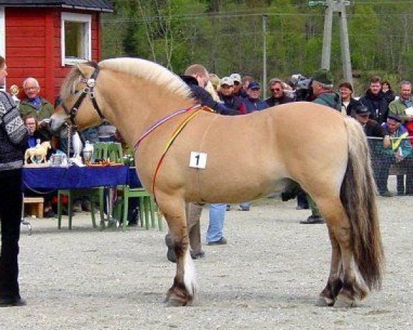 stallion Rånnar N.2591 (Fjord Horse, 1995, from Enar N.2020) stallion Rånnar N.2591 (Fjord Horse, 1995, from Enar N.2020)